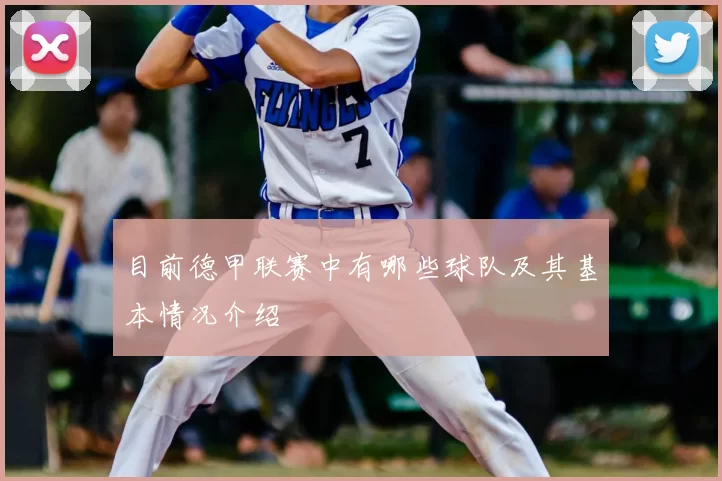 目前德甲联赛中有哪些球队及其基本情况介绍