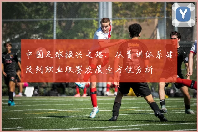 中国足球振兴之路：从青训体系建设到职业联赛发展全方位分析