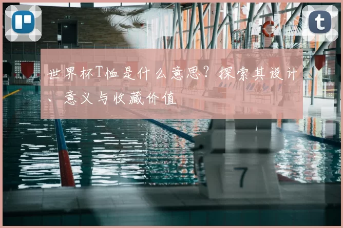 世界杯T恤是什么意思？探索其设计、意义与收藏价值