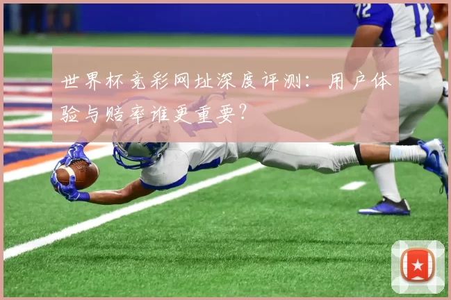 世界杯竞彩网址深度评测：用户体验与赔率谁更重要？