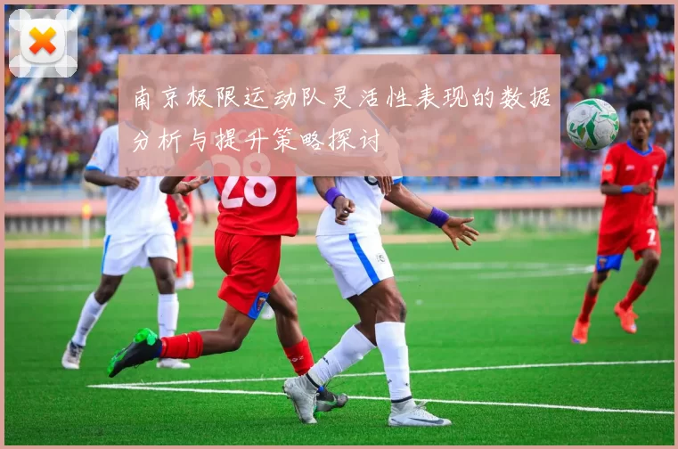 南京极限运动队灵活性表现的数据分析与提升策略探讨