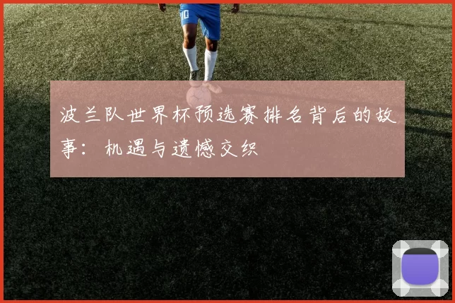 波兰队世界杯预选赛排名背后的故事:机遇与遗憾交织