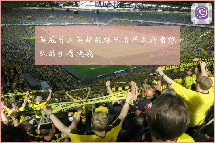 英冠升入英超的球队名单及新晋球队的生存挑战