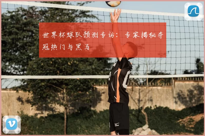 世界杯球队预测专访:专家揭秘夺冠热门与黑马
