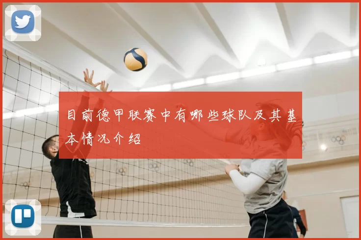 目前德甲联赛中有哪些球队及其基本情况介绍