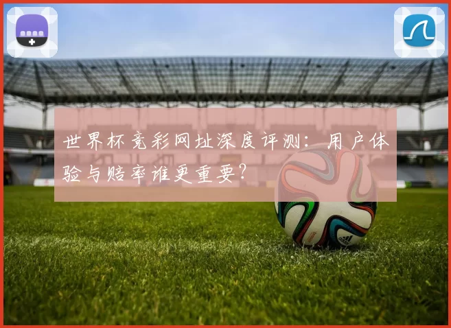 世界杯竞彩网址深度评测：用户体验与赔率谁更重要？